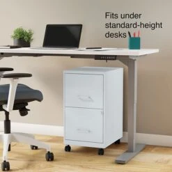 Quill Brand® 2-Drawer Light Duty Vertical File Cabinet, Locking, Letter, Gray, 18" (24363) -Office Supplies Discount s1212971 s7